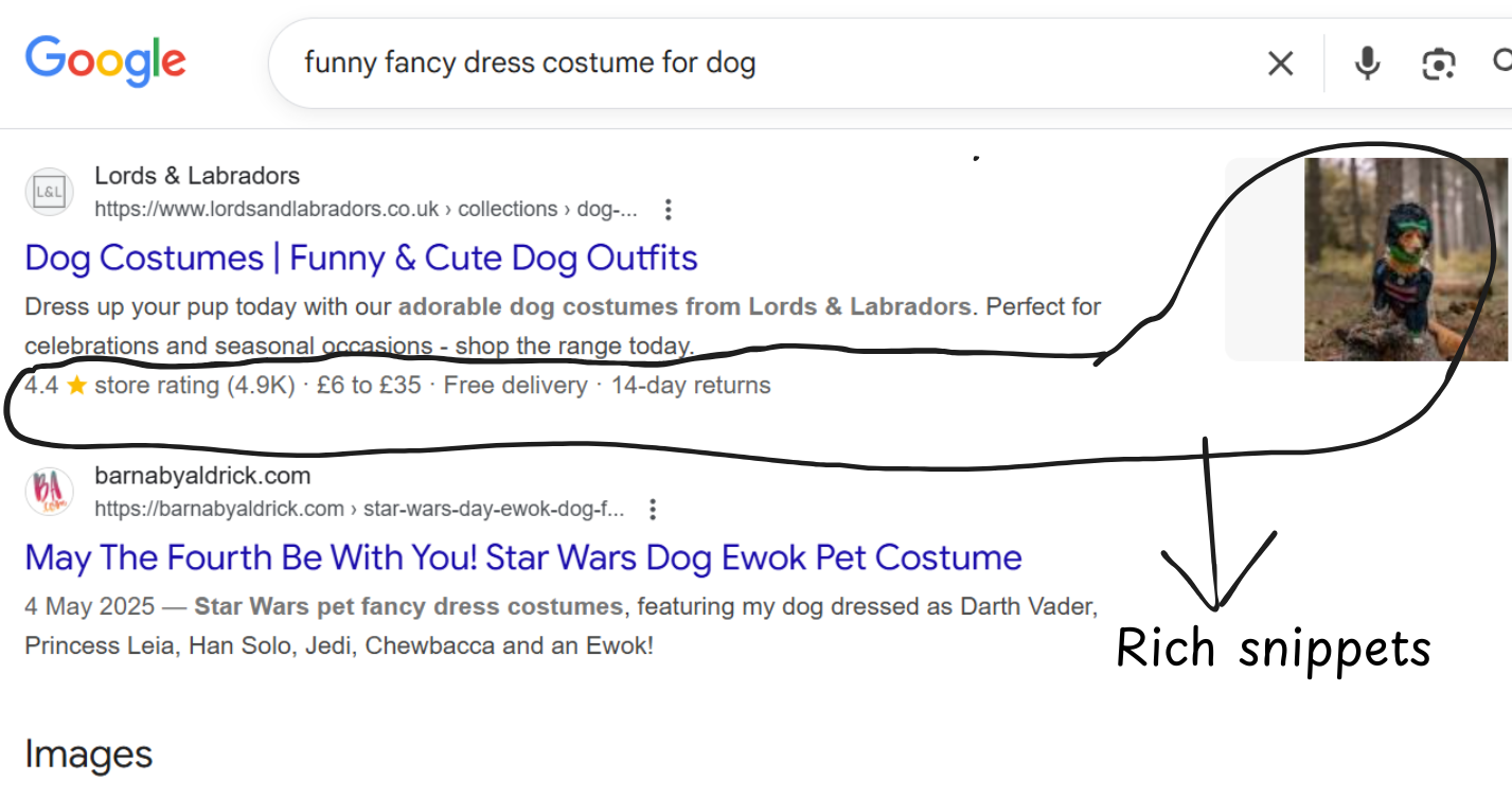 Google search result showing rich snippets &mdash; star rating, price range, and review count &mdash; for a collection page